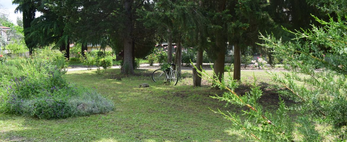 park2026