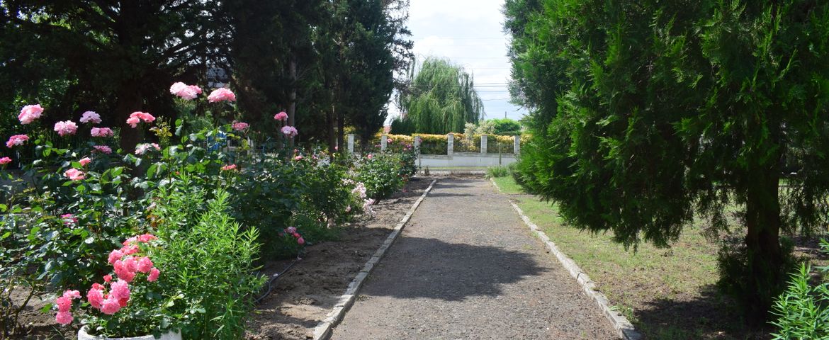 park