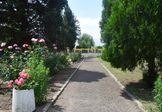 park